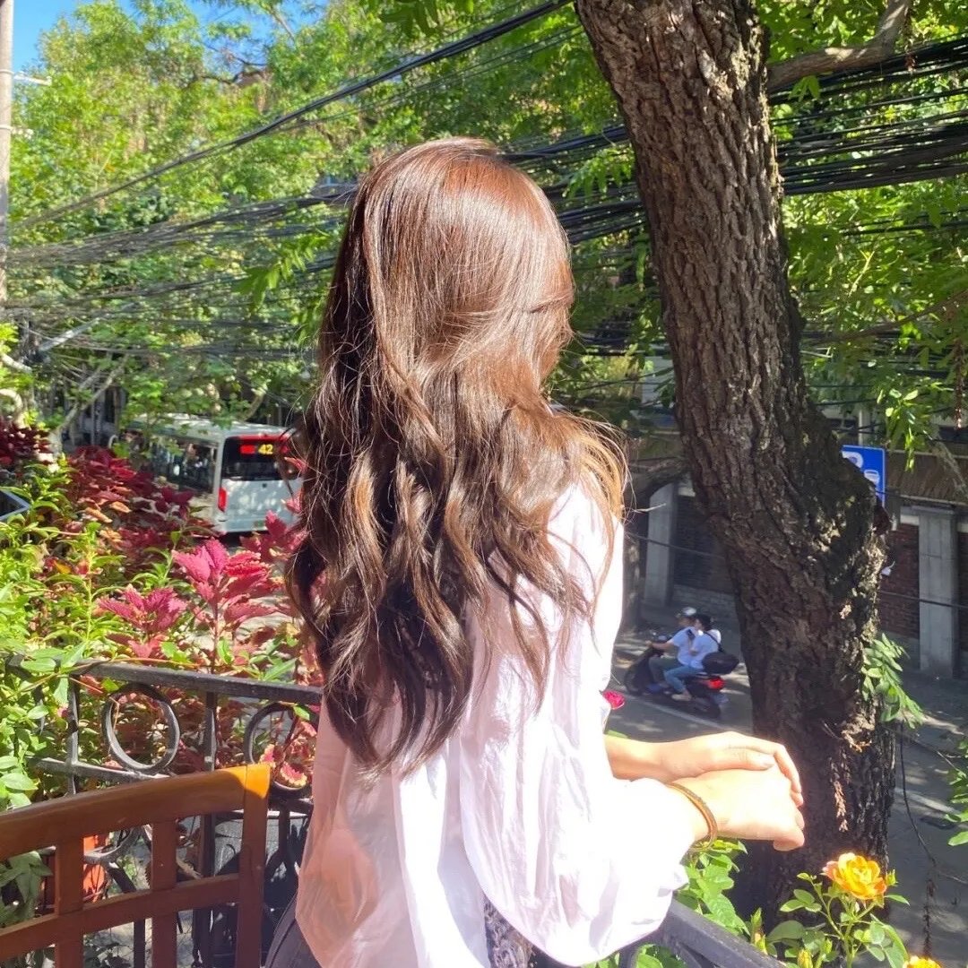 小树的天空